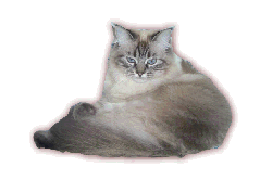 See More Pictures of Suki